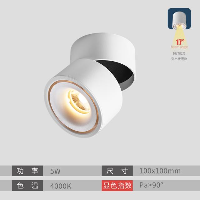 led 스포트라이트 핀조명 명장 랜턴 led 세벽등 가가 거실로 배경 벽 복도 천화등을 비추면 각도 조절이 가능하다 cob통등, 01 진주화이트-5W-4000K-17°