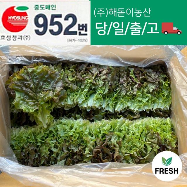 <해돋이농산> 꽃상추 특품 2kg, 꽃상추1박스(2kg)