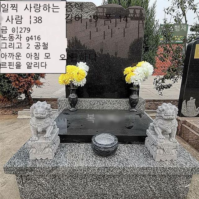 Fuhe 공동묘지 한백옥석 사자향로 꽃병 봉안 조상 무덤 장식 세트 용품 진열품 한백옥 일품 조합 소형(소형 공동묘지에 적합), 청석 일품 조합 가대형(농촌 무덤)