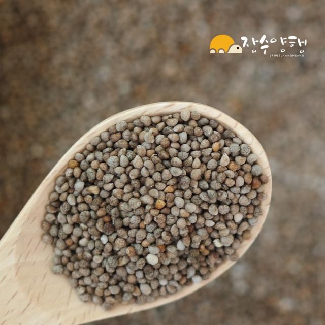 장수양행 볶은들깨450g 국산 깨끗히 세척 후 볶은 들깨, 1개, 450g