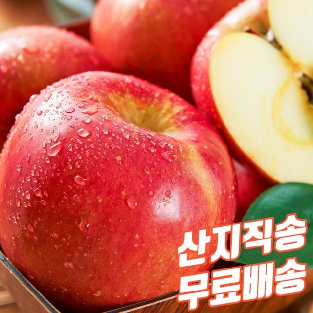 경북 맛있는 껍질 꿀사과 부사 특대 b급 아삭 새콤달콤 과즙넘치는 정품 특대 5kg 10kg 한박스