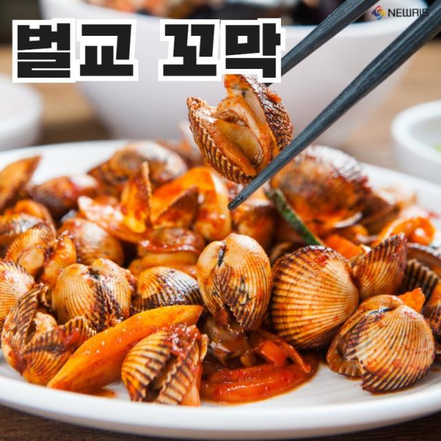 특 꼬막 참꼬막 새꼬막 피꼬막 벌교참꼬막 강릉꼬막비빔밥 만들기 피조개무침 꼬막제철 냉동꼬막 자숙꼬막 꼬막철, 특꼬막 2kg(140미내외)