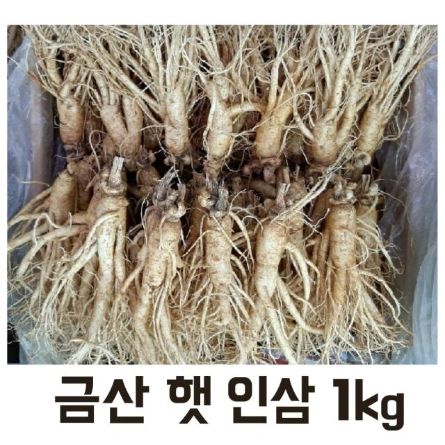 실속형 5년근 가정용인삼 1kg (16-20뿌리) 무료세척 무료배송