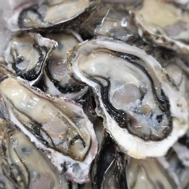 장가네수산 산지직송 통영생굴 하프셀 반각굴 2단 60미 내외/(평일오후2시이전까지 당일발송), 1box, 하프셀 2단