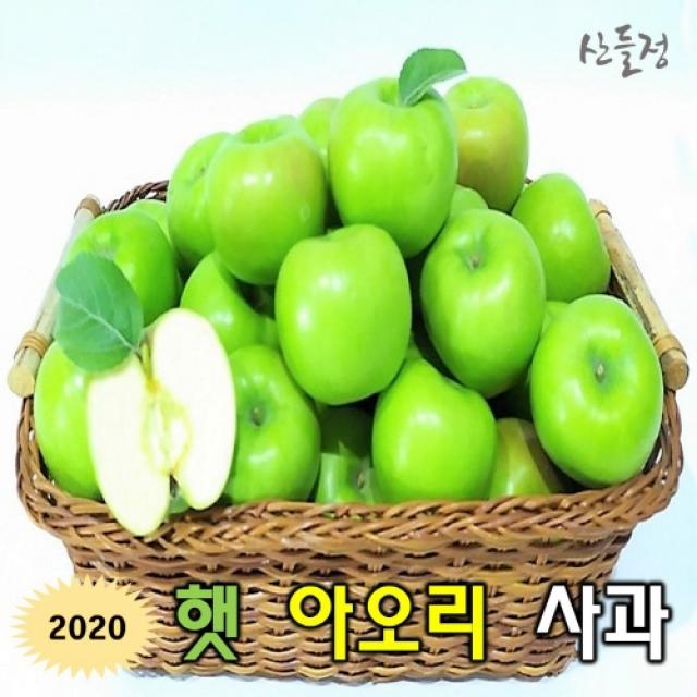 경북사과 햇 아오리 사과10kg 5kg 3kg 산지직송 산들정 1box 04. 아오리 10kg 53~60과 내외 가정용 흠과