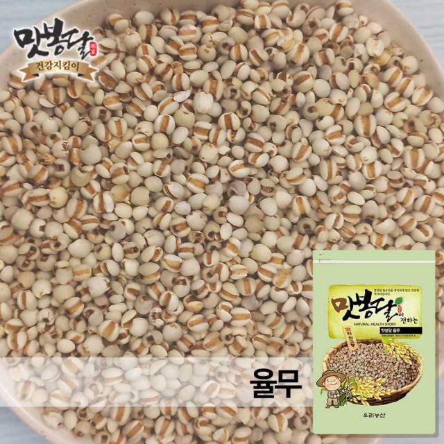 맛봉달 2020년 율무 중국산, 1개, 5kg