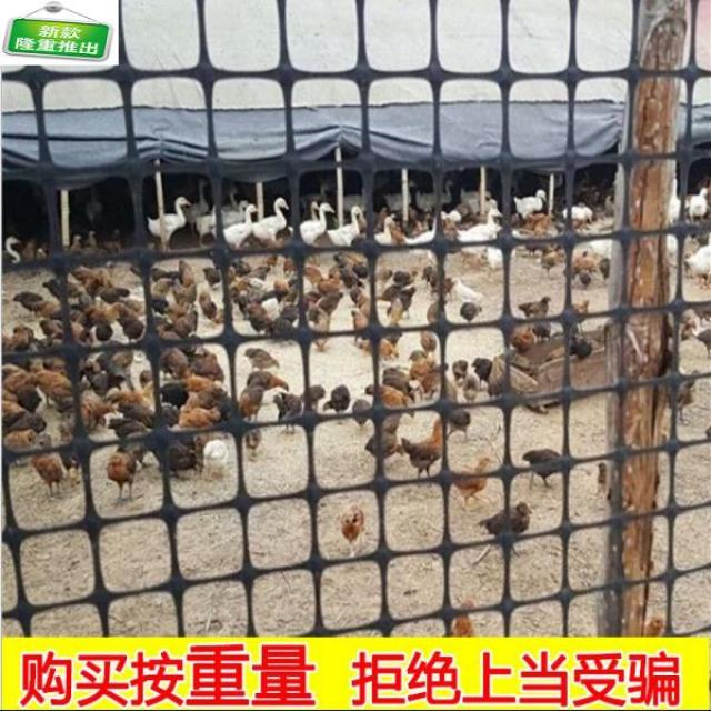 재료 양식 울타리 그릴이 토우 장인 작은 구멍으로 닭을 기르다 방호 격리망 거름, 초코블링