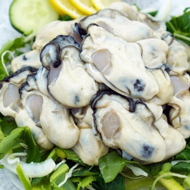 통영 산지직송 최상급 생굴 냉동굴 1kg 1kg