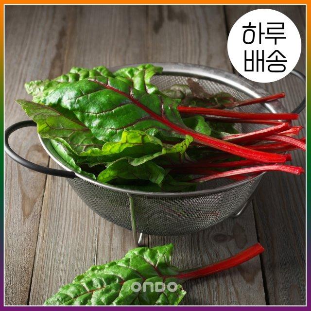 [하루배송][온도씨]가락시장 적근대 300g