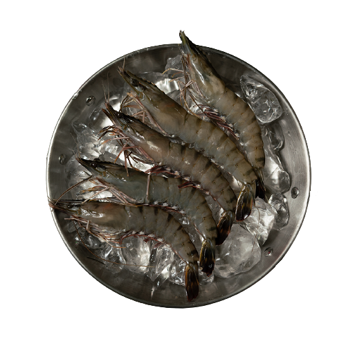 블랙타이거 새우1+1 (냉동) 1kg 캠핑 여행, 3.블랙타이거 새우 15미 x2팩(30마리) 1kg