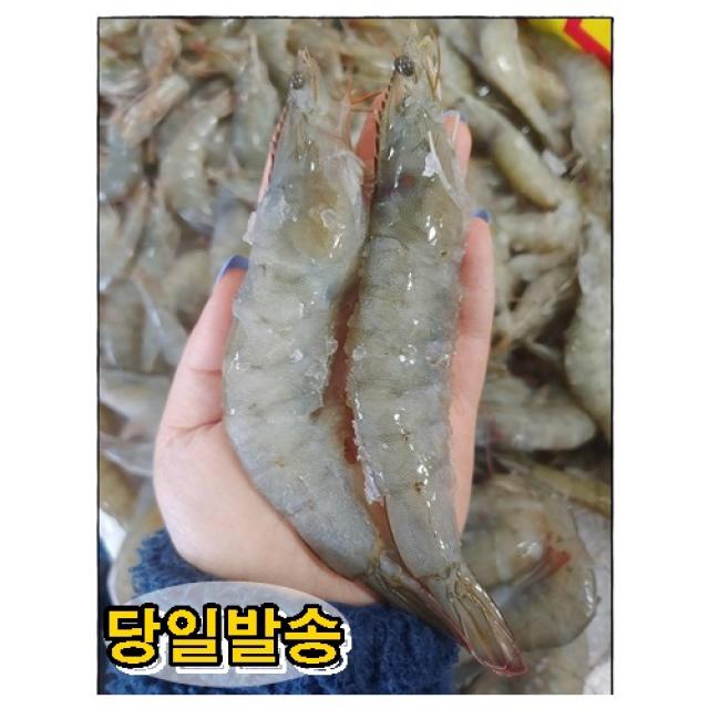 새우 특대 대하구이 새우 소금 구이용 캠핑 새우구이 세트 큰새우 대용량 1kg, 새우 1kg 1개