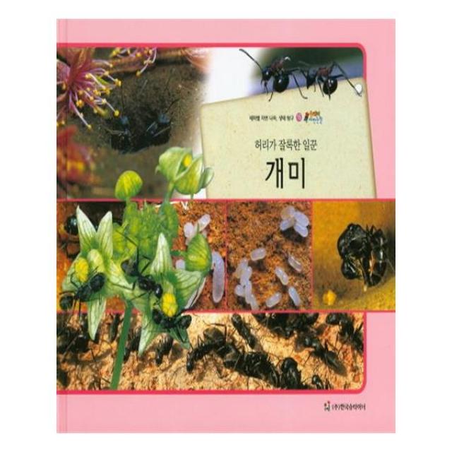 올빼미 자연관찰 15 허리가 잘록한 일꾼 개미 (곤충류)