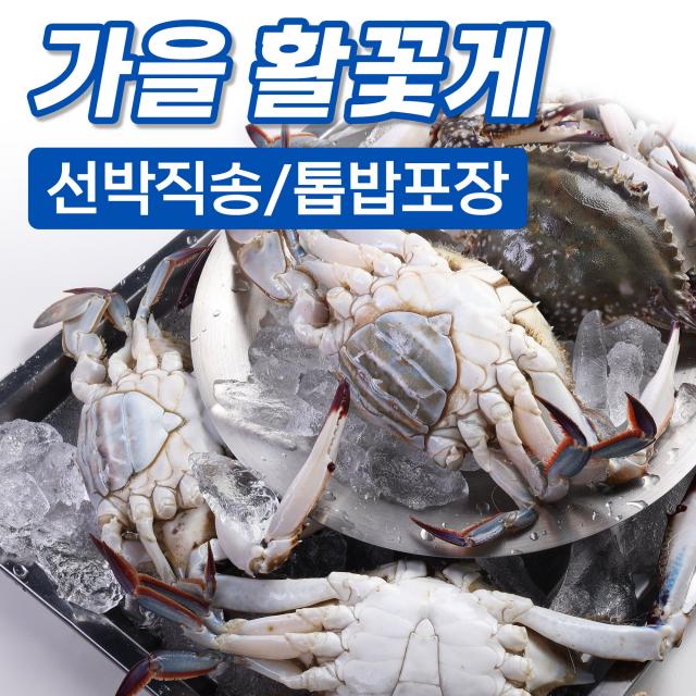 당일조업 꽃게 활꽃게 산지직송 제철 서해안 1kg 2kg 3kg