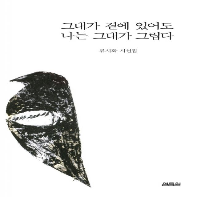 그대가 곁에 있어도 나는 그대가 그립다:류시화 시선집, 열림원