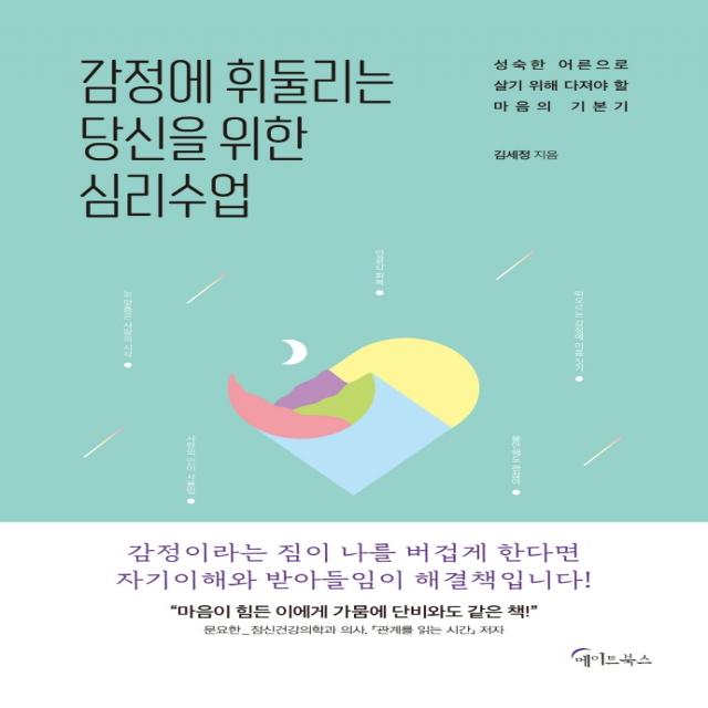 감정에 휘둘리는 당신을 위한 심리수업:성숙한 어른으로 살기 위해 다져야 할 마음의 기본기, 김세정, 메이트북스