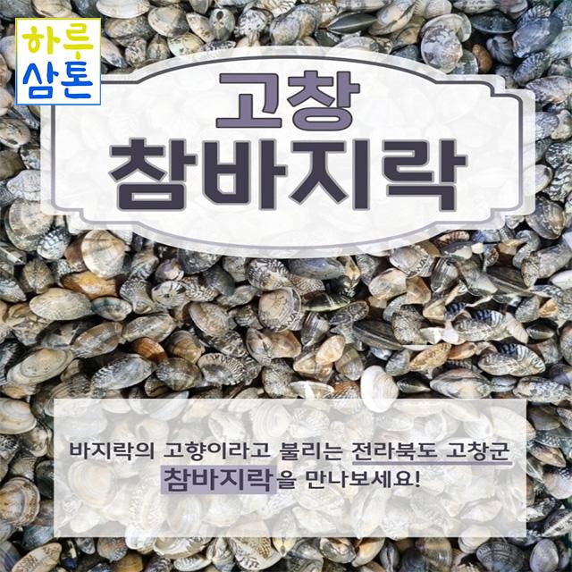 (당일배송 무료배송)고창 참바지락 3kg 5kg (해감완료 쿠팡 도착 예정일 관계없이 주문 시 다음날 도착 입니다.), 참바지락 5kg