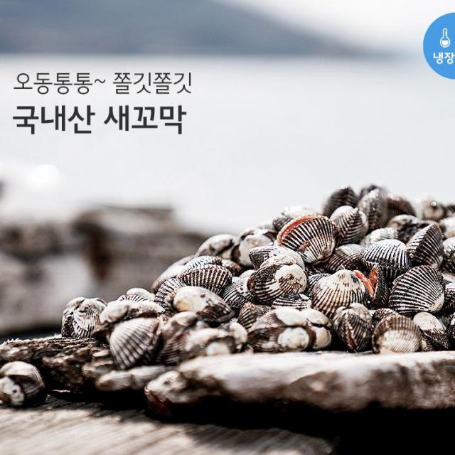 당일공수 오동통 국내산 새꼬막, 1개, 새꼬막 2kg