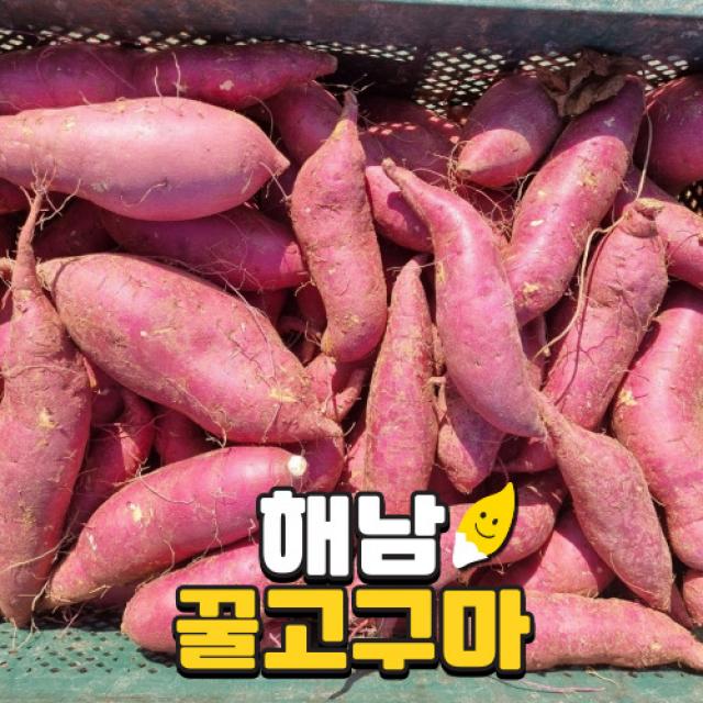 해남 세척 베니하루카 꿀고구마 3kg 5kg 10kg 1. 꿀고구마 3kg 한입 60g미만 