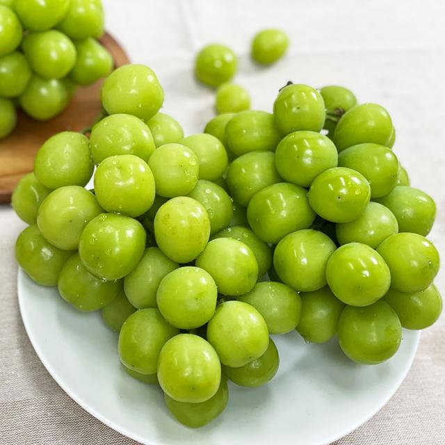 프리미엄 당도보장 망고향 샤인머스켓 2kg