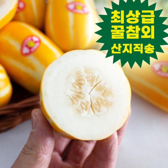 성주참외 2kg 5kg 소과 중과 고당도 참외 로얄과 못난이 꼬마 작은 미니참외 알뜰 가정용 실속참외 산지직송 선물용 한박스, 가정용 성주참외 소과 5kg(12-20과 내외)