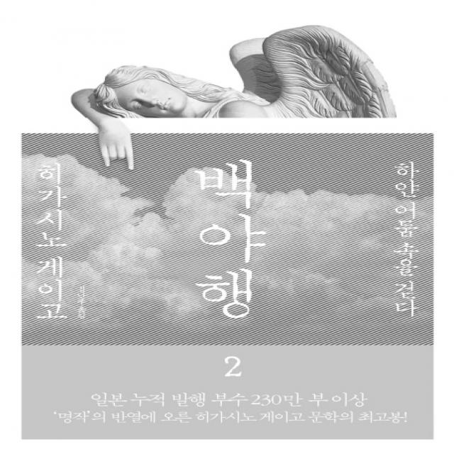 백야행 2 : 하얀 어둠 속을 걷다 재인