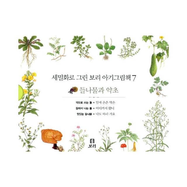 세밀화로 그린 보리 아기그림책 7 (전3권) : 들나물과 약초