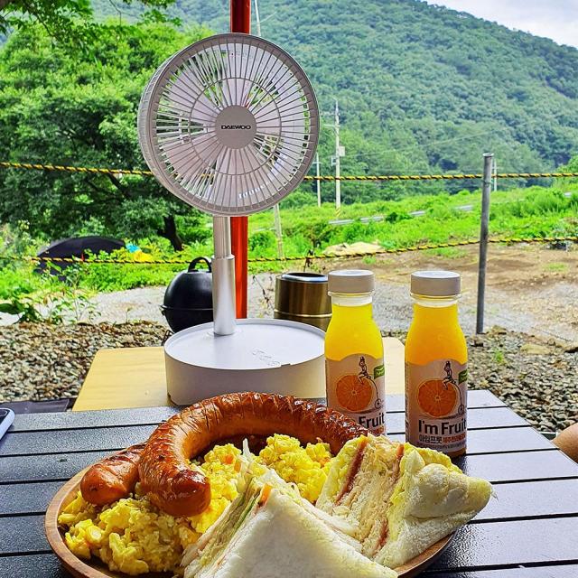 캠핑 차박 C타입 충전 무선 선풍기 미니 써큘레이터 작지만 강력하다., DEF-FS02