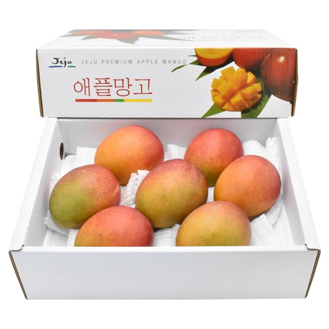 삼다몰 제주 애플망고 3kg, 1박스, 애플망고(특대) 3kg(7~8과)