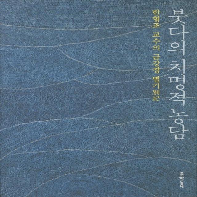 붓다의 치명적 농담:한형조 교수의 금강경 별기, 문학동네