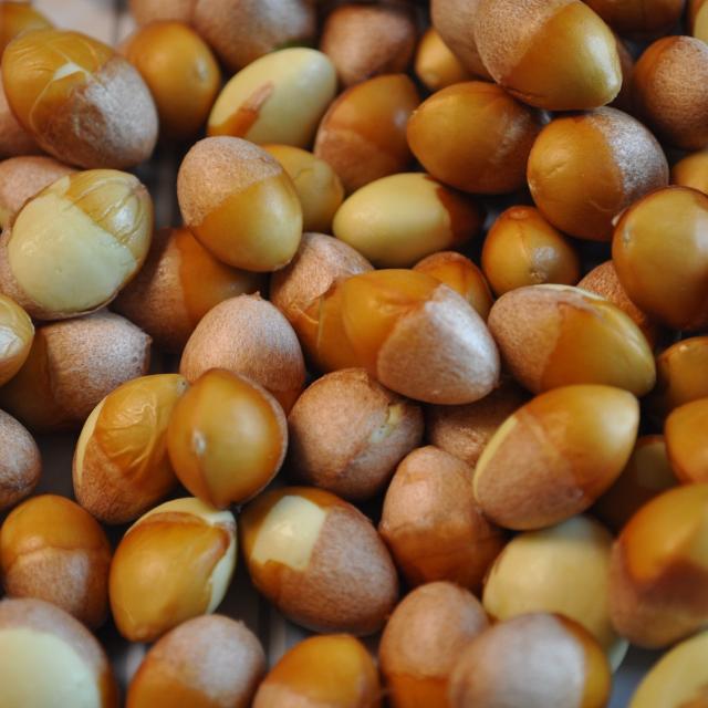 박경철농장 깐은행1kg 대 은행 1봉 깐은행/대 1kg 1개