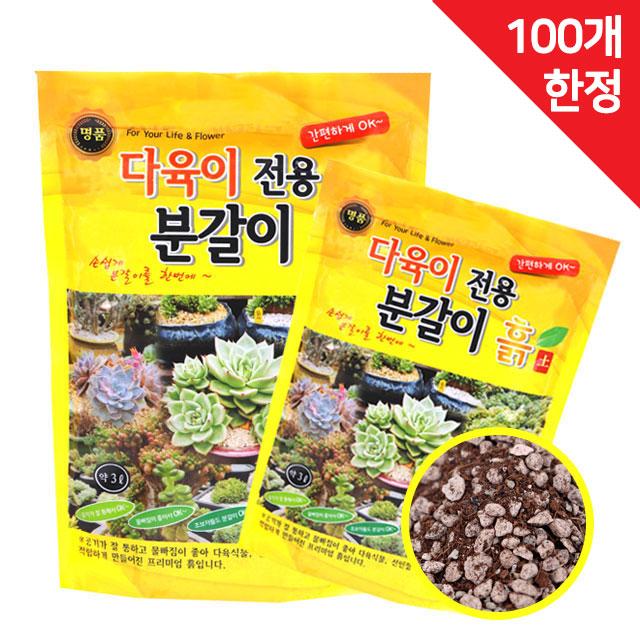 거목산업사 스투키분갈이 다육이흙 6리터 3개 + 세척마사토 5kg(소립), 1set