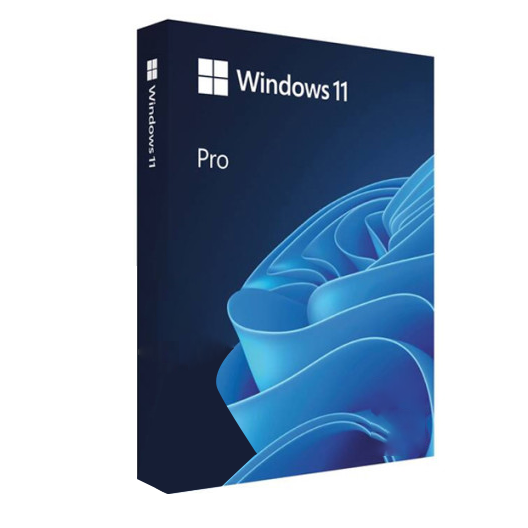 마이크로소프트 Windows 11 Pro FPP 한글, 단품