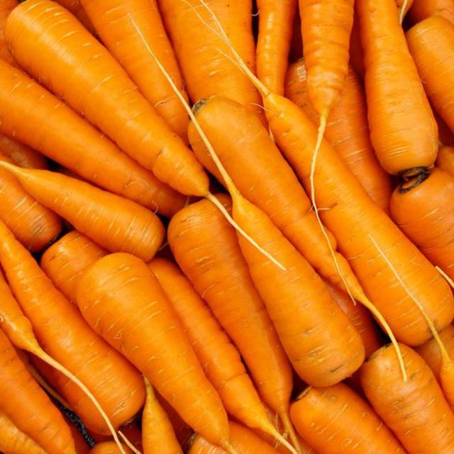 삼촌밥먹자 싱싱한 하우스 햇 흙당근(중즙용) 3kg 5kg10kg, 5kg