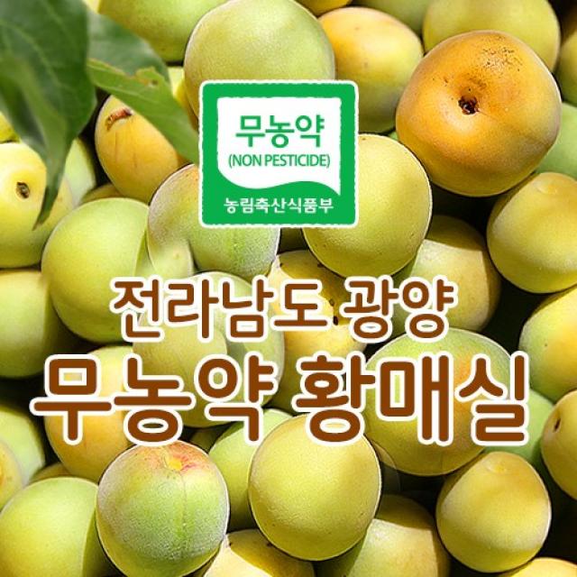 광양매실 2020년 햇매실 무농약 황매실 10kg 20kg, 1box, 10kg(대)