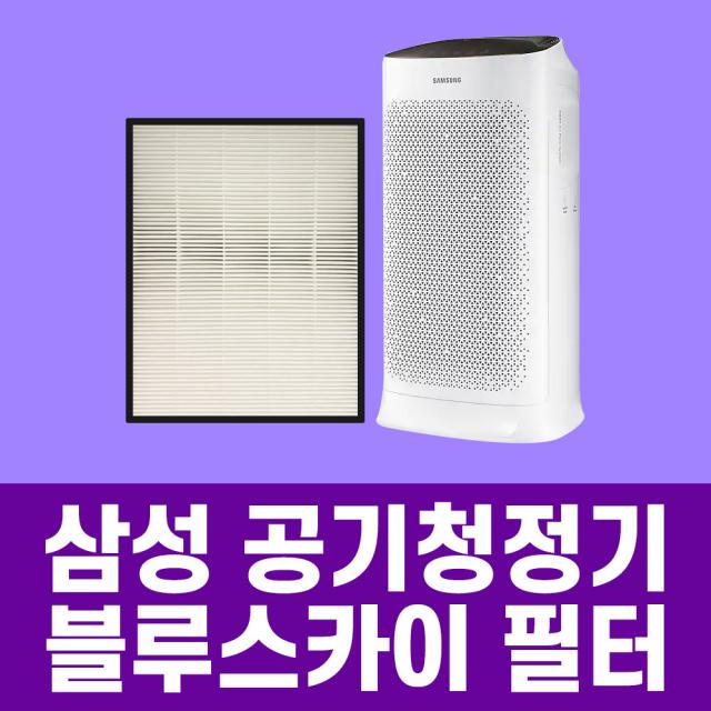 삼성전자 삼성공기청정기 필터 AX40K3020GWD 블루스카이 3000 CFX-B100D 2TCD 헤파13 프리미엄, 2.CFX-B100D (고급형)