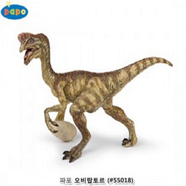 리암 파포 공룡 모형완구 오비랍토르 55018 xl3 동물 사물피규어