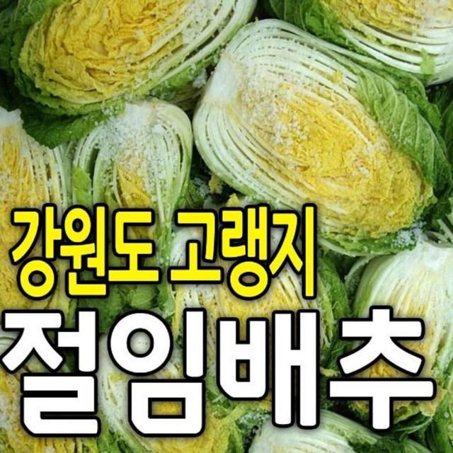 강원도 고랭지 절임배추 20kg 국내산 90일 배추 7~9포기 내외 세척 포장, 7월 19일 화요일 도착