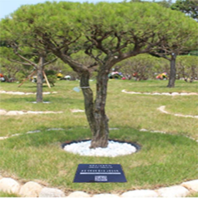그린석재 (추모비 비석) 비석 추모비 묘비석 평장묘비석 수목장비석 표지석 동영상을담은QR비석 프로젝터, QR수목장비석_300