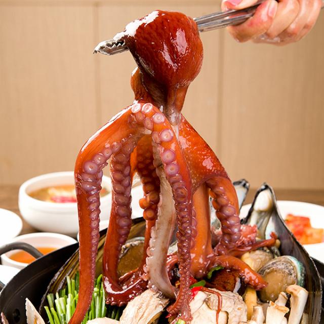 국내산 자연산 돌문어 피문어 산지직송 제철 문어 숙회 활 제수용 제사용 돌문어 2kg 1~4마리 