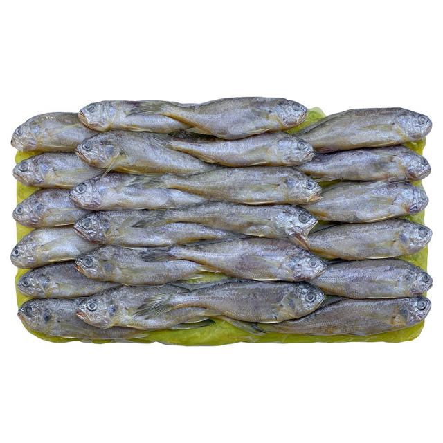 제주 참조기 48미 3.3kg 제주참조기 3.3kg 48미 X 1박스