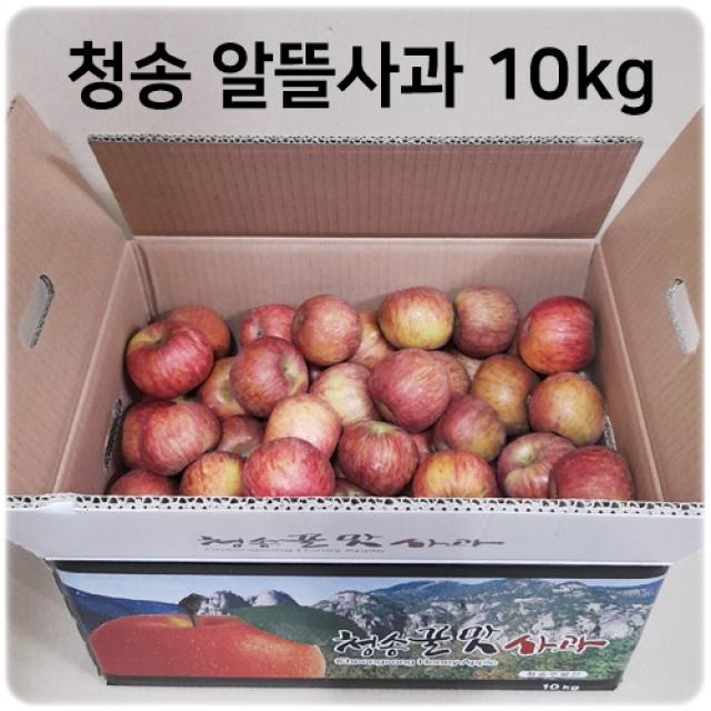 [산지직송]청송사과 10kg 알뜰사과 (포장재포함10kg이상), 1박스, 01.알뜰흠집 꼬마사과 10kg (45과~65과내외)