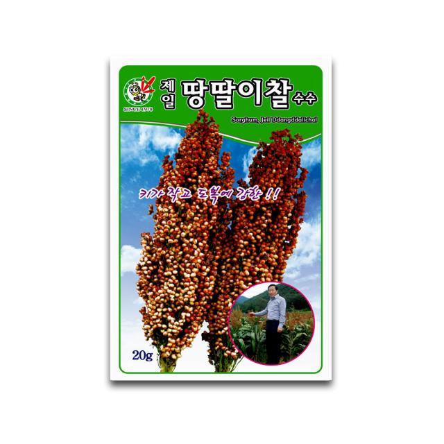 모칸도 (무배) 제일종묘 땅딸이찰수수 20g