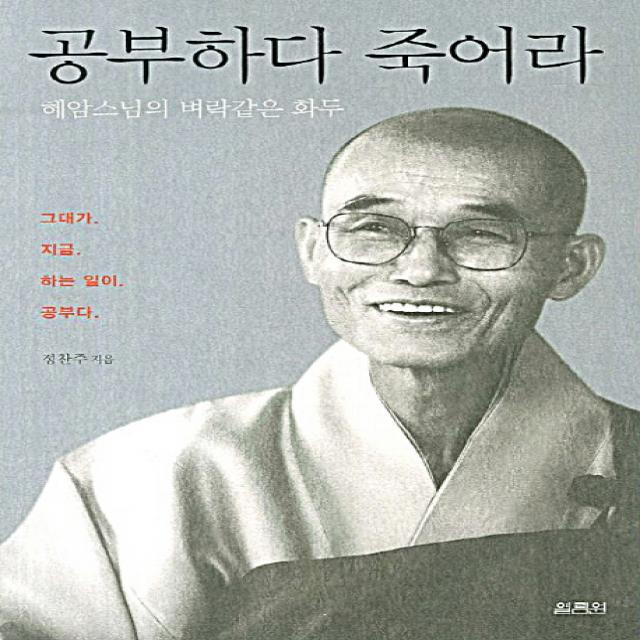 공부하다 죽어라:혜암스님의 벼락같은 화두 열림원