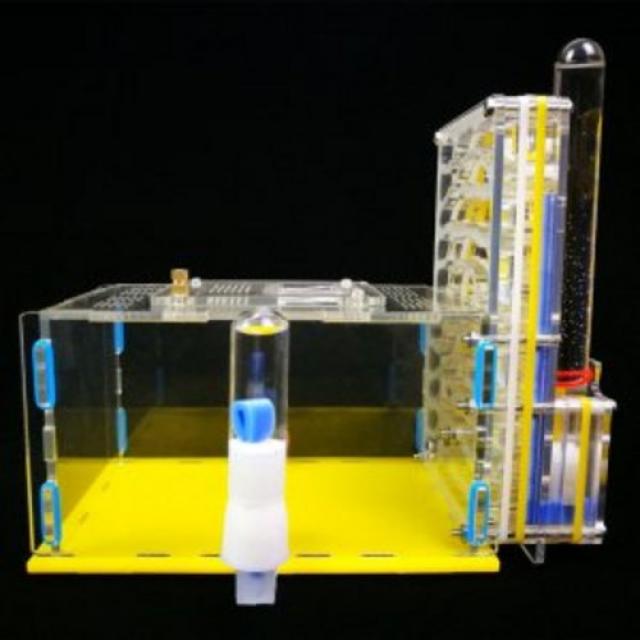 개미집 둥지 곤충키우기 아크릴 먹이 개미농장, 색상 분류