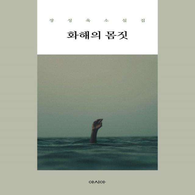 화해의 몸짓:장성욱 소설집, 아시아, 장성욱