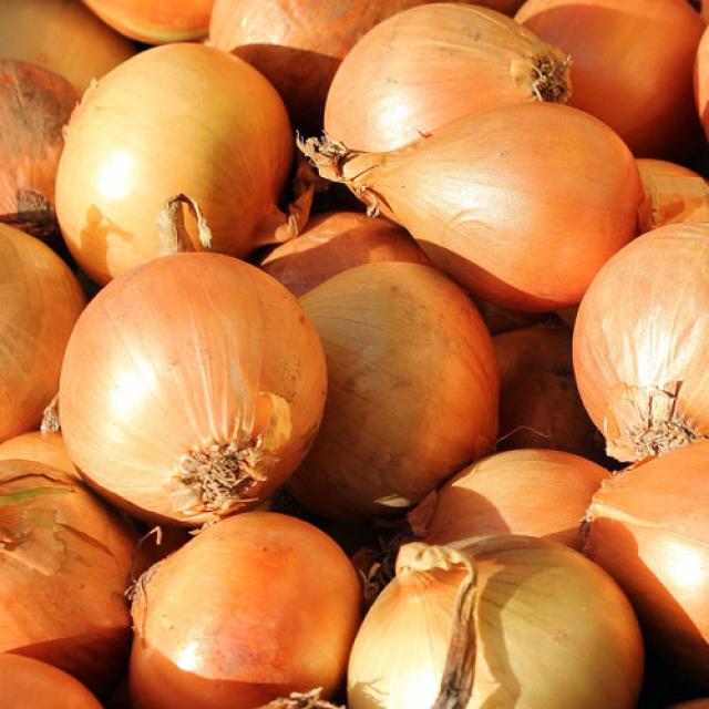 [기린]햇양파 당일발송 재구매율100% 국내산 소 중 대 특 2kg 3kg 5kg 1BOX