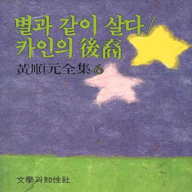 별과 같이 살다/카인의 후예 문학과지성사