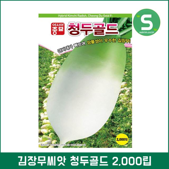 김장무씨앗 2000립 청두골드 가을무 김장무 무씨앗