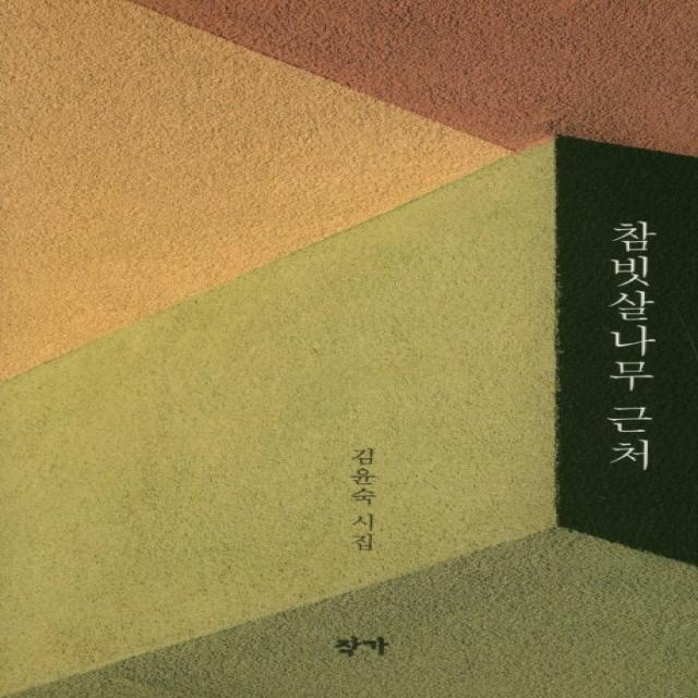 참빗살나무 근처:김윤숙 시집, 작가