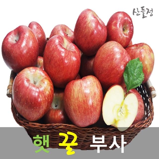 경북사과 햇 꿀 부사 사과10kg 5kg 3kg [산지직송] 산들정, 1box, 03. 사과 5kg (16~20과 내외) 가정용 흠과